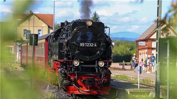 Der reguläre Betrieb auf der Selketalbahn sollte laut Gutachten nicht fortgeführt werden. (Archivbild)