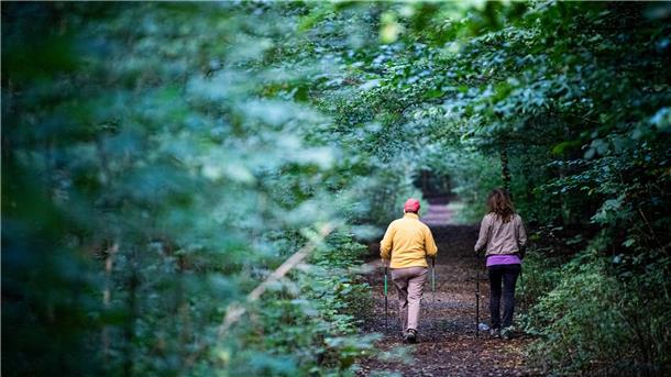 Ruhe statt Rendite: Die NABU-Ideen für den Reinkenheider Forst Reinkenheider Forst