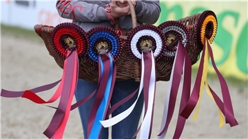 Eine Frau hält einen Korb mit Schleifen für die Siegerehrung bei einem Reitturnier bereit. 
