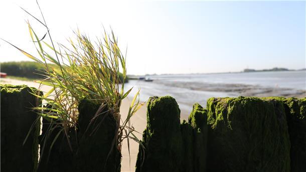 Der Sandstedter Strand bietet den Besuchern viele idyllische Fotomotive.