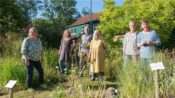 Wurster Nordseeküste: NABU-Gruppe „entdeckt“ Permakultur Der Schaugarten der NABU-Gruppe Gartenlust und Blütensaum in Dorum