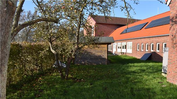 Der Schulgarten in Burhave ist weitgehend verwaist. Bald soll er für die Kinder zu einem wertvollen Lernort werden.