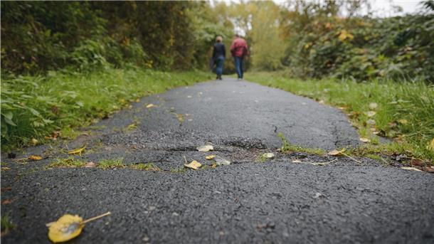 Der „schwarze Weg“ zwischen Kornweg und Marschbrookweg ist kaputt und überwuchert.
