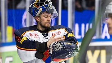 Svedberg