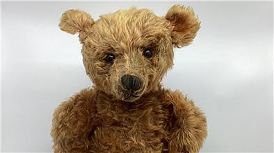 Tausende Pfund für Steiff-Teddybär von 1905 Der seltene Steiff-Teddybär aus dem Jahr 1905, der in Bishton Hall unter den Hammer kam.