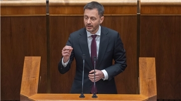 Der slowakische Ministerpräsident Eduard Heger.