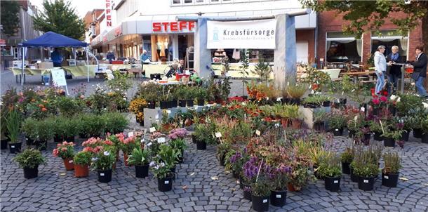 Der Staudenmarkt der Krebsfürsorge Bremervörde-Zeven am Gauß-Brunnen in Zeven.