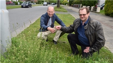 Der stellvertretende Gartenbauamtsleiter Kester Kirchwehm (links) und Dezernent Dr. Ulf Eversberg präsentieren eine Wildkräuterfläche an der Wurster Straße.