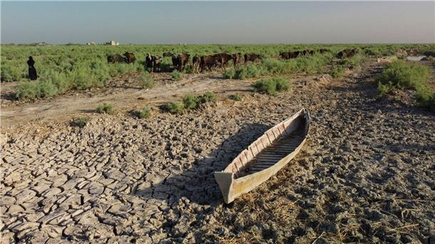 Alltag ohne Wasser: Blick in austrocknende Weltregionen Der südliche Irak könnte wegen Wasserknappheit bald unbewohnbar werden.