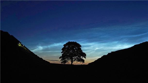 Der Sycamore Gap Tree in England war einst ein beliebtes Fotomotiv. (Archivfoto)