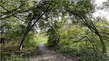 Strandwald Nordenham