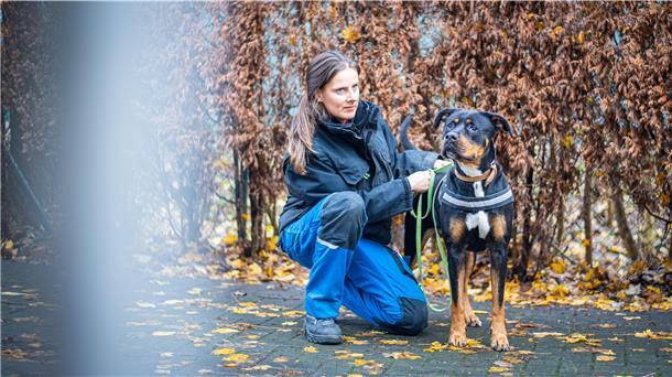 Die traurigsten Schicksale aus dem Bremerhavener Tierheim Der vierjährige Rottweiler-Mischling Pia wurde ausgesetzt, die Besitzer meldeten ihn als verstorben. Pia landete im Tierheim. Manche Tiere dort haben eine besonders traurige Geschichte.
