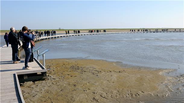 Der Wanderweg durch den Langwarder Groden in Butjadingen ist nominiert als "Deutschlands schönster Wanderweg".