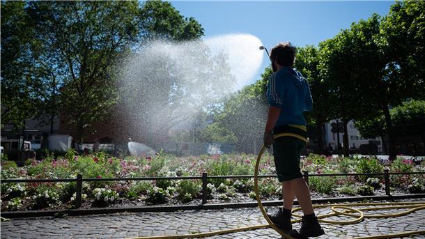 Der Wasserverband bittet um sparsamen Umgang mit Trinkwasser im Garten. Viel umweltfreundlicher ist es, Regenwasser zu nehmen. Foto: Gollnow/dpa