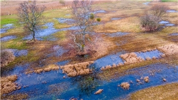 ein unter Wasser stehendes Moorgebiet