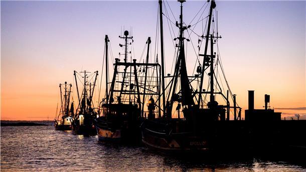 Der Wremer Kutterhafen: Anziehungspunkt für Einheimische und Urlauber, aber auch Arbeitsplatz für Kutterfischer.