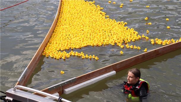 Braker Entenrennen: Nummer 418 hängt alle ab Der Zieleinlauf beginnt: Ente 418 wird die Führung nicht mehr abgeben. Damit gewinnt der sechs Jahre alte Mika Sitzlach den Hauptpreis.
