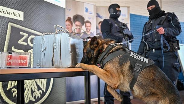 Zollhund schnüffelt an Drogenpaketen