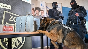 Zollhund schnüffelt an Drogenpaketen