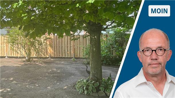 Blick in einen Garten mit einem Zaum und einem Baum.