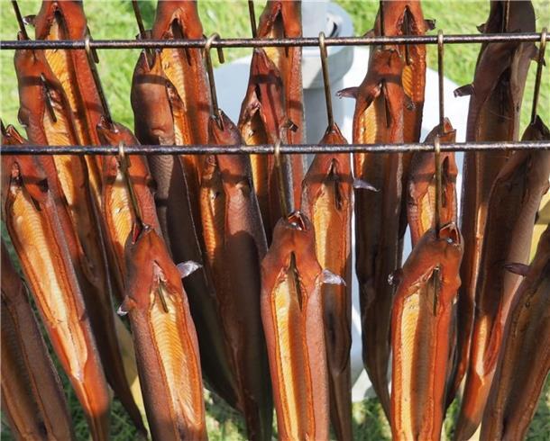 Darauf können wir uns 2024 im Kreis Cuxhaven freuen Aalräuchermeisterschaften Wremer Markt