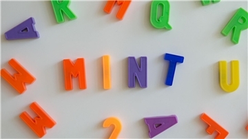 Die Abkürzung MINT steht für die Fächer Mathematik, Informatik, Naturwissenschaften und Technik. (Symbolbild)