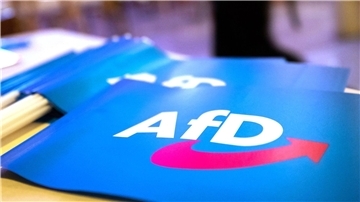 AfD-Fähnchen auf einem Tisch.