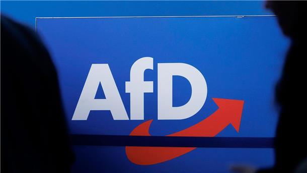 Mehr Menschen werden Mitglied bei AfD Die AfD verzeichnet derzeit auch hohe Umfrage-Werte.