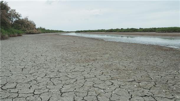Frankreich: Der Kampf um knappes Wasser beginnt Die anhaltende Trockenheit hinterlässt ihre Spuren - in Frankreich wird das Wasser knapp.