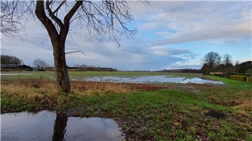 Ein Feld mit großen Wasserpfützen.