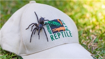 Die auf den Namen Herkules getaufte Spinne ist von Beinspitze zu Beinspitze 7,9 Zentimeter lang.