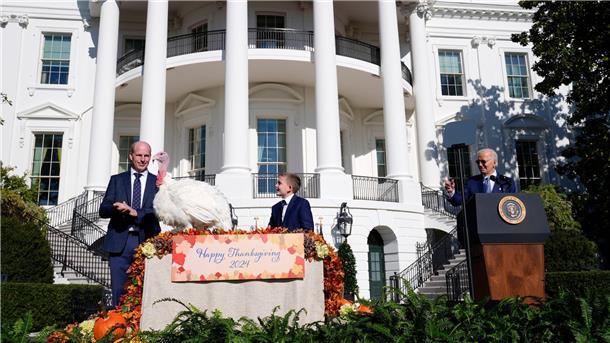 Biden begnadigt Truthähne vor Thanksgiving Die Begnadigung von Truthähnen durch den Präsidenten hat eine lange Tradition.