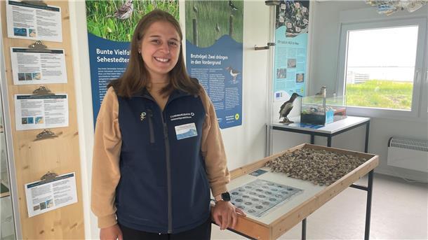 Die Nationalpark-Erlebnisstation Sehestedt hat einen neuen Ausstellungsbereich Frau in einem Ausstellungsraum