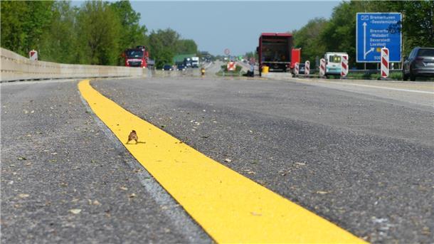 Fotos von der A27-Brücke Wulsdorf: So laufen die Vorbereitungen für den Abriss Die Brücke ist 32 Meter lang und 19 Meter breit.