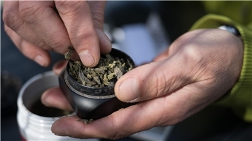 Die Bundesländer hätten bislang keine klaren Regelungen für die Lizenzen von Anbauflächen für Cannabis aufgestellt und „bis auf wenige Ausnahmen“ noch nicht mal eine zuständige Behörde benannt.