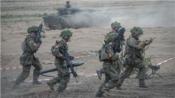Die Bundeswehr beteiligte sich unter anderem mit einem Großmanöver mit dem Namen Quadriga 2024 an Steadfast Defender.