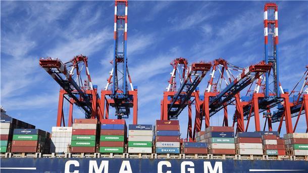 Die Container-Tochtergesellschaft Eurogate füllte in den vergangenen Jahren die Kasse der BLG mit satten Gewinnen. Nun produzierte Eurogate rote Zahlen, die die Verluste der BLG in die Höhe trieben.