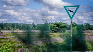 Die Cuxhavener Küstenheide ist ein großflächiges Naturschutzgebiet zwischen der Wurster Nordsee-Küste und Cuxhaven.