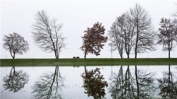 Bilder des Tages Die Donau führt in Baden-Württemberg Hochwasser. Das führt neben zahlreichen Unannehmlichkeiten auch zu diesem schönen Anblick. Hier spiegeln sich Bäume bei Riedlingen im Wasser.