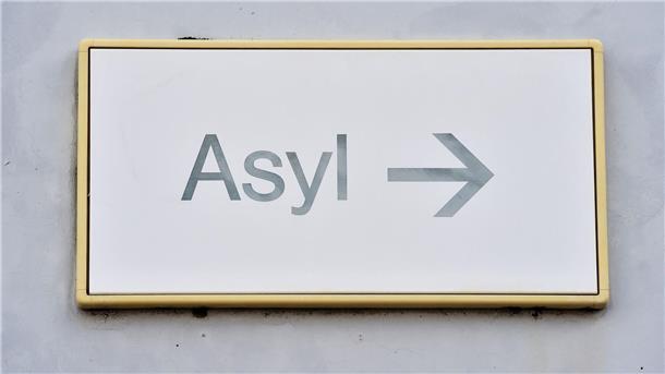 Die Einigung der EU-Staaten ermöglicht wichtige Gespräche mit dem Europaparlament, um die Asylreform abzuschließen.