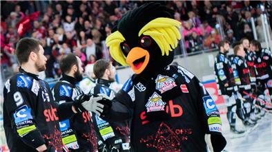 Am Mittwoch steigt die Sause der Vizemeister-Helden der Fischtown Pinguins Die Enttäuschung sitzt tief, doch immer mehr kommt bei den Pinguins auch der Stolz auf eine überragende Saison durch, die am Mittwoch groß gefeiert werden soll.