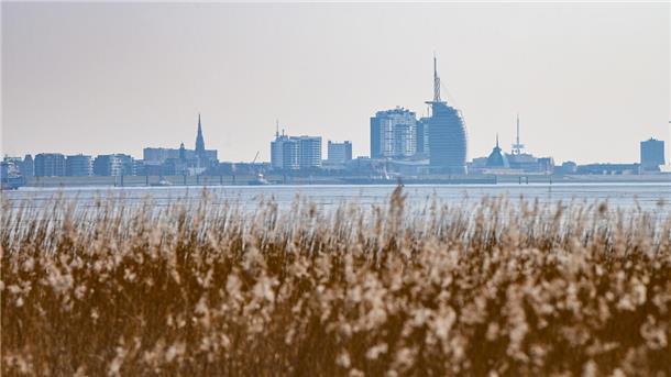 Blick auf Bremerhaven mit Küstengras im Vordergrund