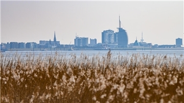 Blick auf Bremerhaven mit Küstengras im Vordergrund