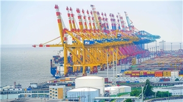 Blick auf Containerbrücken