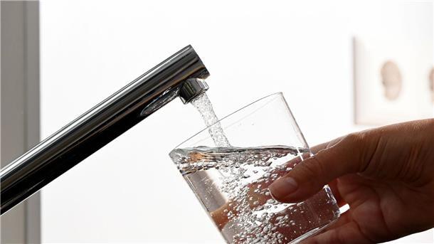 Fünf Tote durch Legionellen in Polen Die Erreger werden häufig durch zerstäubtes Wasser übertragen, etwa über Wasserhähne.