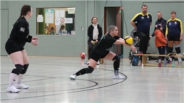 SV Nordenham Volleyball