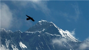 Die ersten Bergsteiger akklimatisieren sich bereits am Mount Everest.