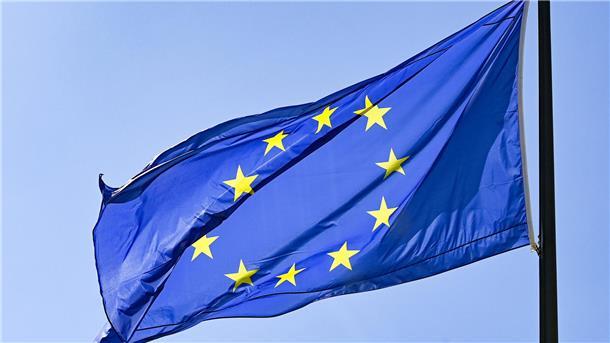Die Europa-Fahne.