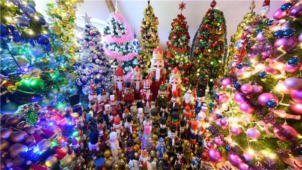 Die Familie Jeromin bricht den eigenen Rekord im Sammeln von Weihnachtsbäumen. 