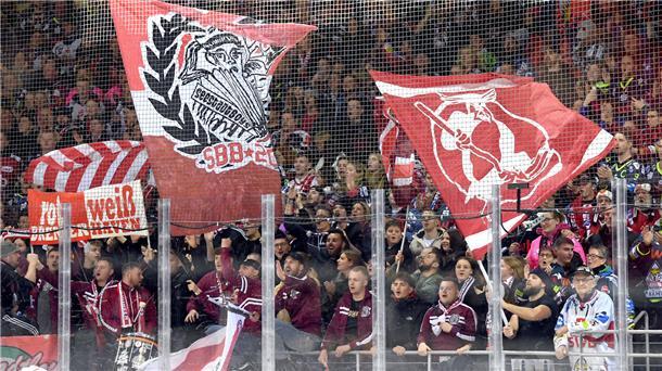 Eisarena Bremerhaven bei fast jedem Pinguins-Spiel ausverkauft Die Fans der Fischtown Pinguins strömen zu den Heimspielen.